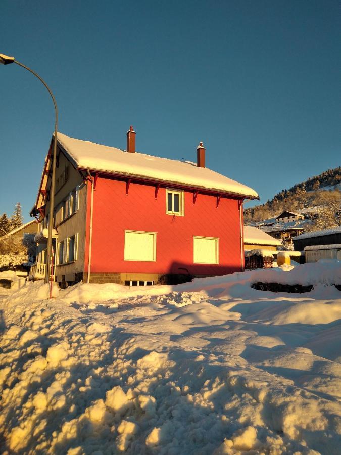 Cocon Lumineux Pres Des Pistes Lägenhet La Bresse Exteriör bild